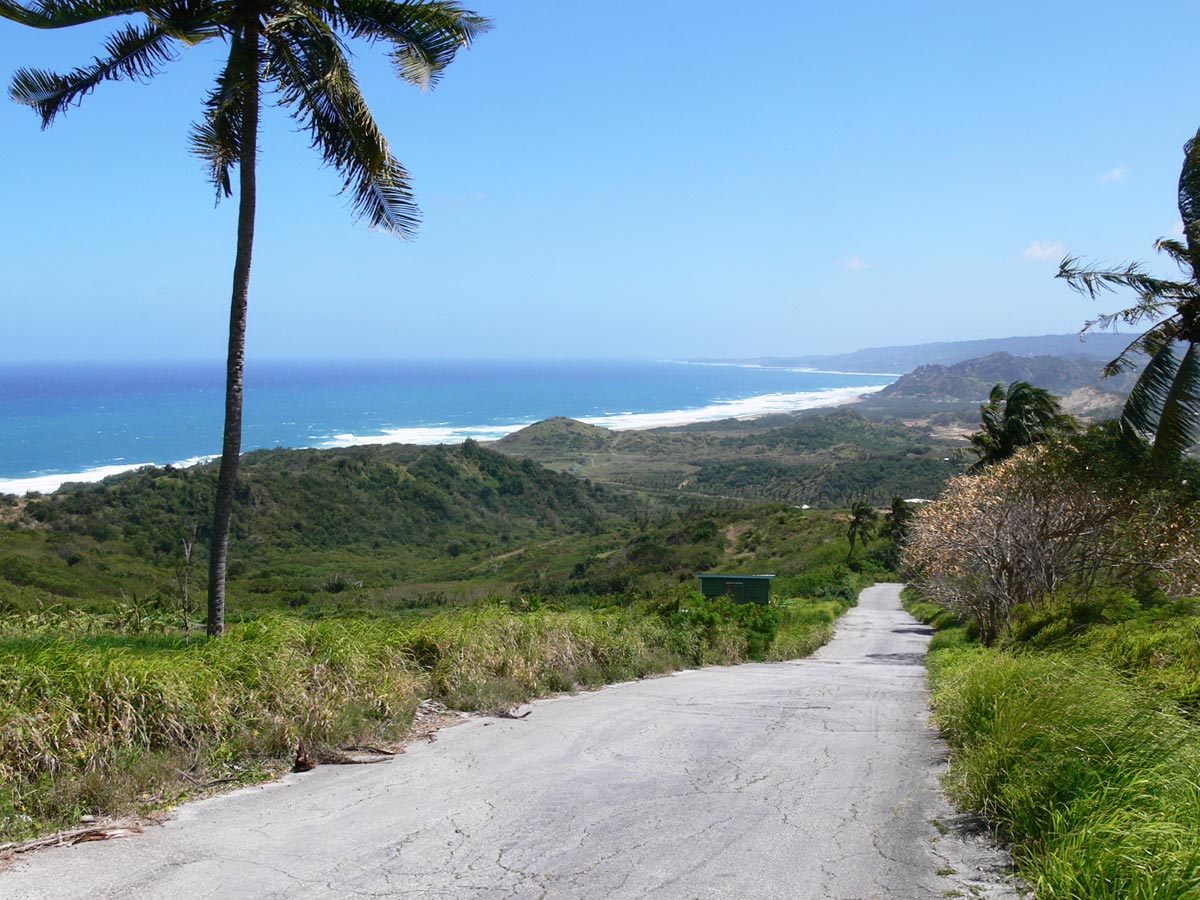 BBG-Blog-Post-Featured-Image05-2023